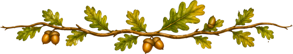 Illustration branche de chêne avec feuilles et glands colorés, décoration site Le Petit Poucet