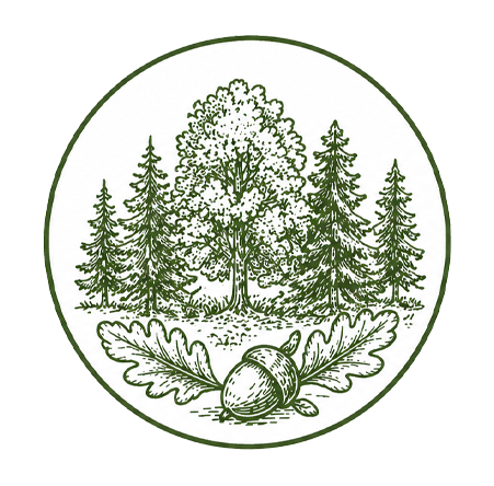 Pictogramme forêt et sapins style vintage pour le site du Petit Poucet Saint-Léon